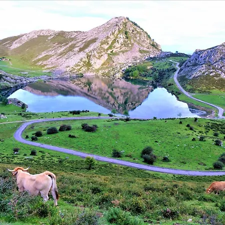 Casa Cangas De Onis - El Rincon Del Castro * بينيا